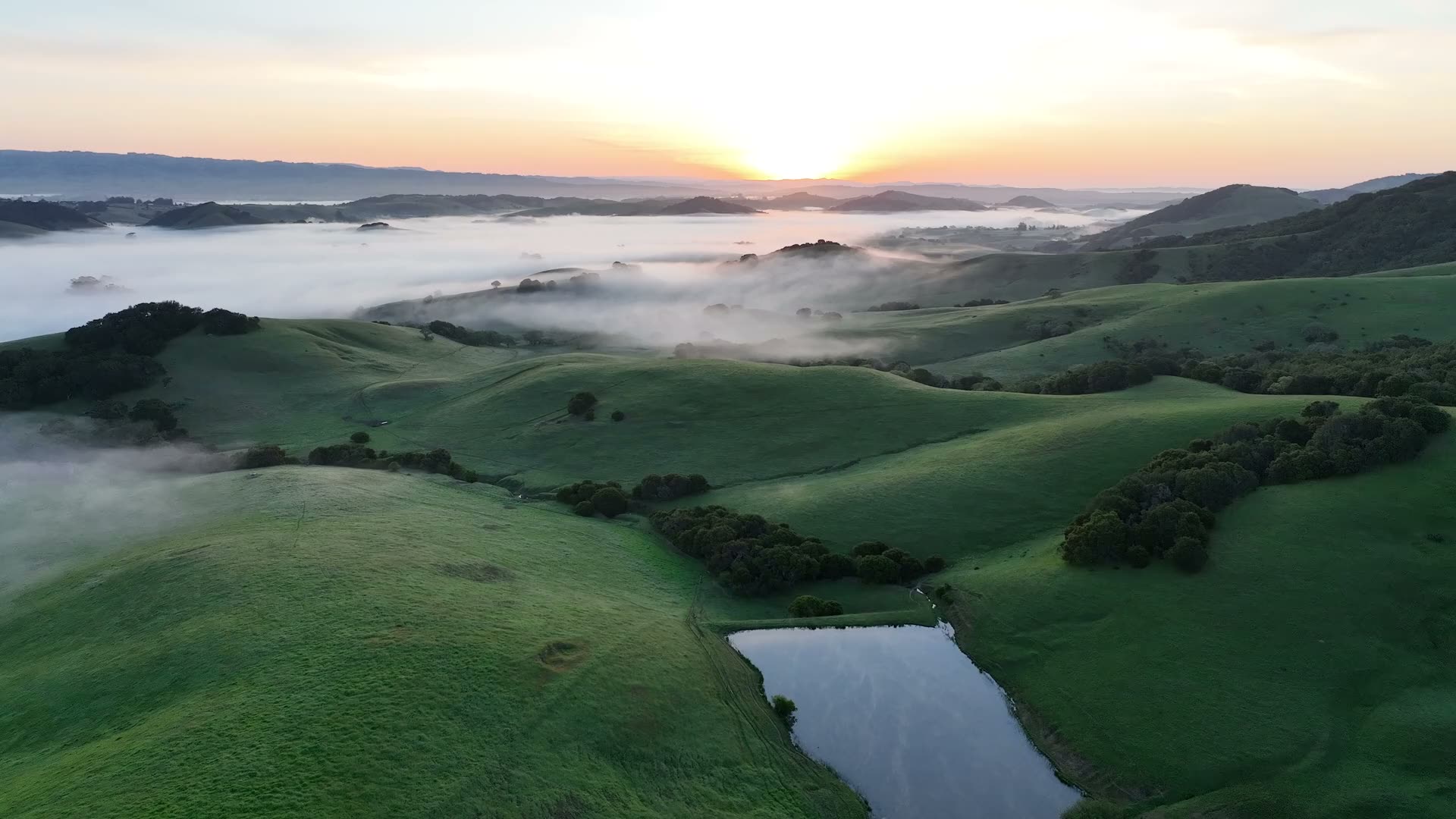 Allyn River Valley, NSW
