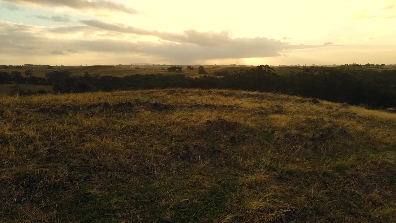 Allyn River Valley, NSW