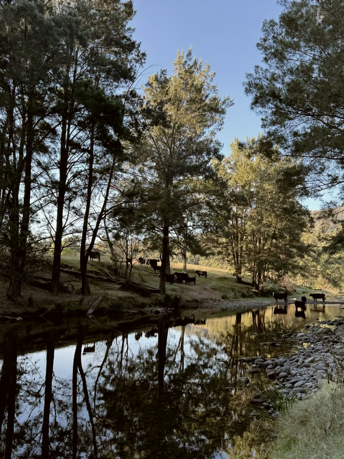 The Allyn River in late light at Chessenden Farm
