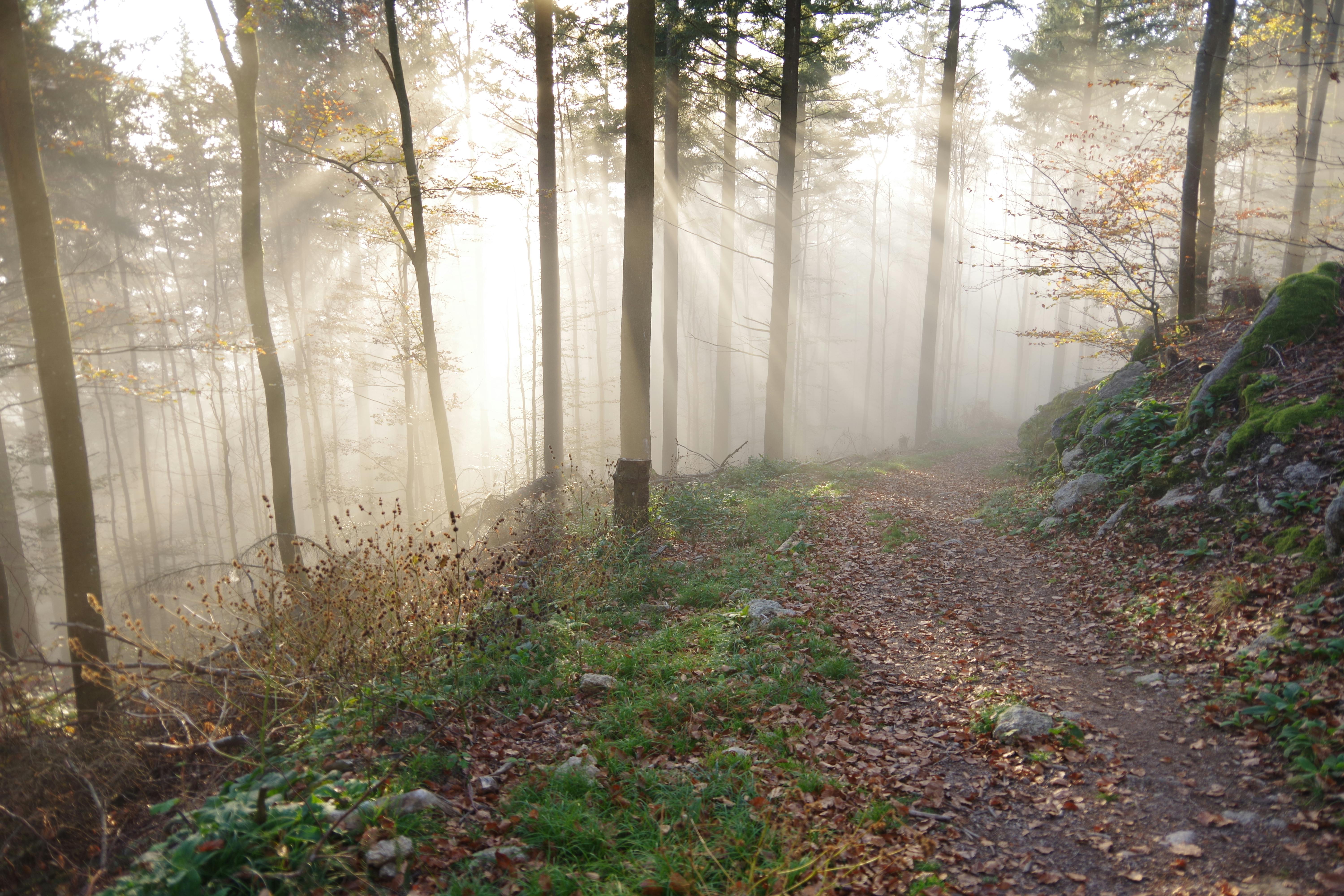 Hiking the land