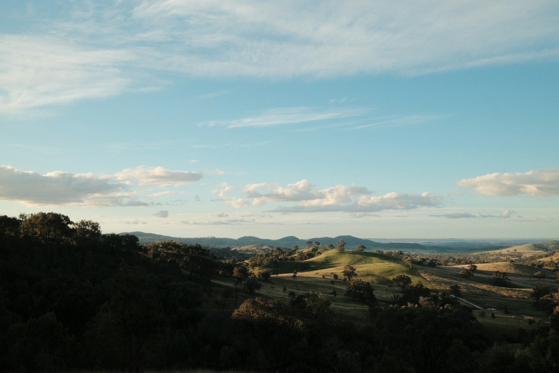 The land